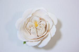 Пионовидная роза