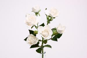 Кустовая роза 1шт